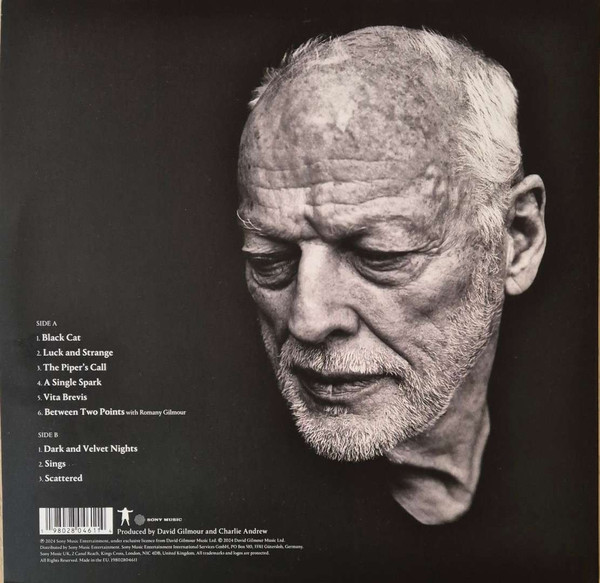 David Gilmour - Luck And Strange
