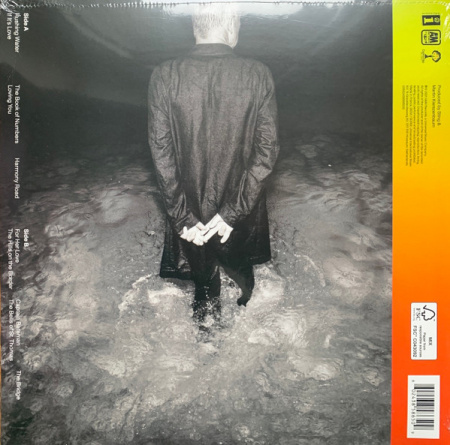 Sting – The Bridge