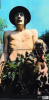 Fleetwood Mac – Mr. Wonderful