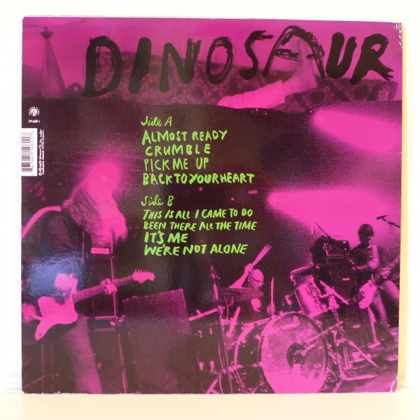 Dinosaur Jr. ‎– Beyond
