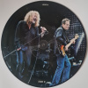 Led Zeppelin – Grand Levitation